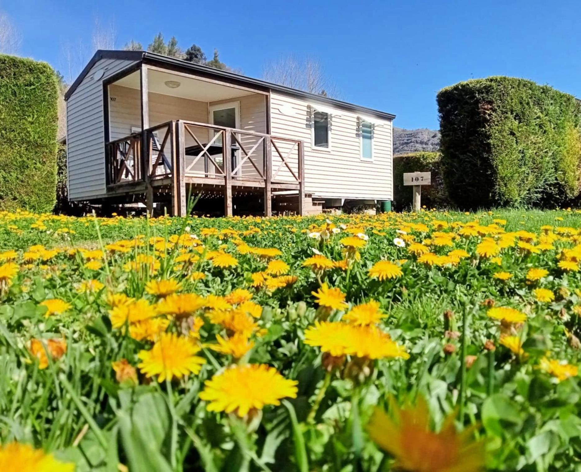 Camping Du Bourg Digne-les-Bains Dış mekan fotoğraf